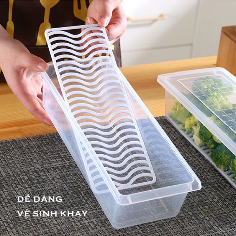 Hộp đựng thực phẩm tủ lạnh có khay ráo nước Việt Nhật