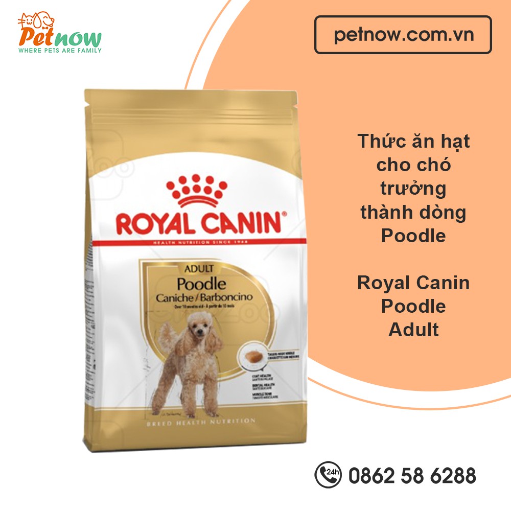 Thức ăn cho chó trưởng thành trên 12 tháng tuổi dòng Poodle Adult  Royal Canin