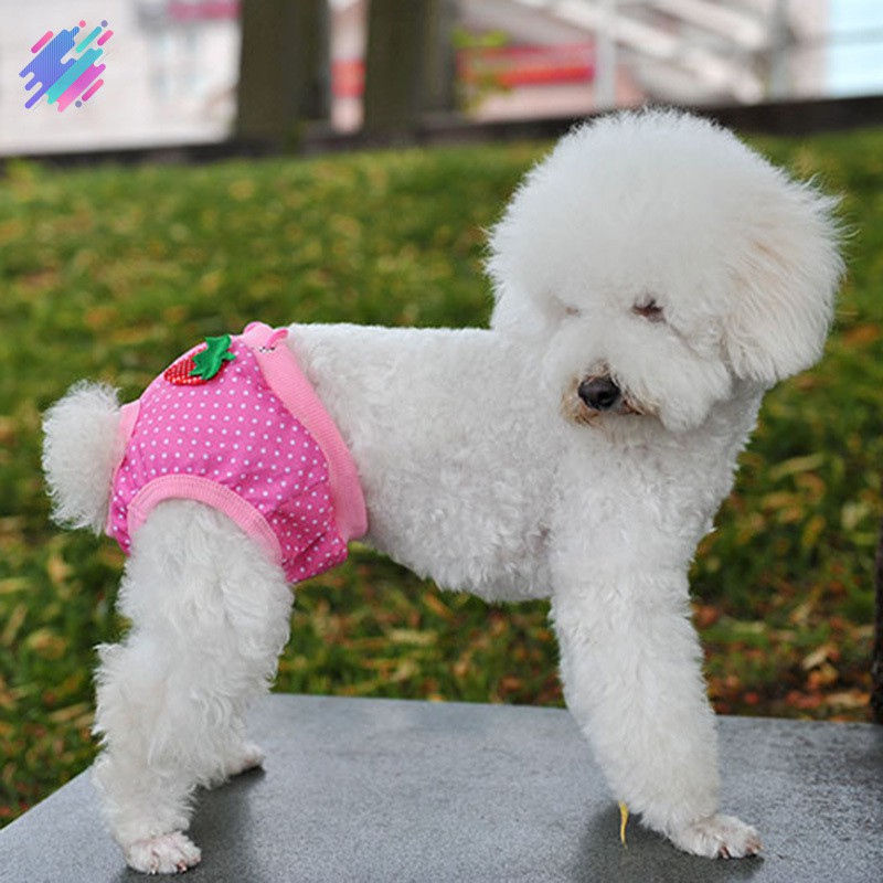 Quần tã sinh lý kiểu dáng xinh xắn cho thú cưng giống cái size S/ M/ L/ XL