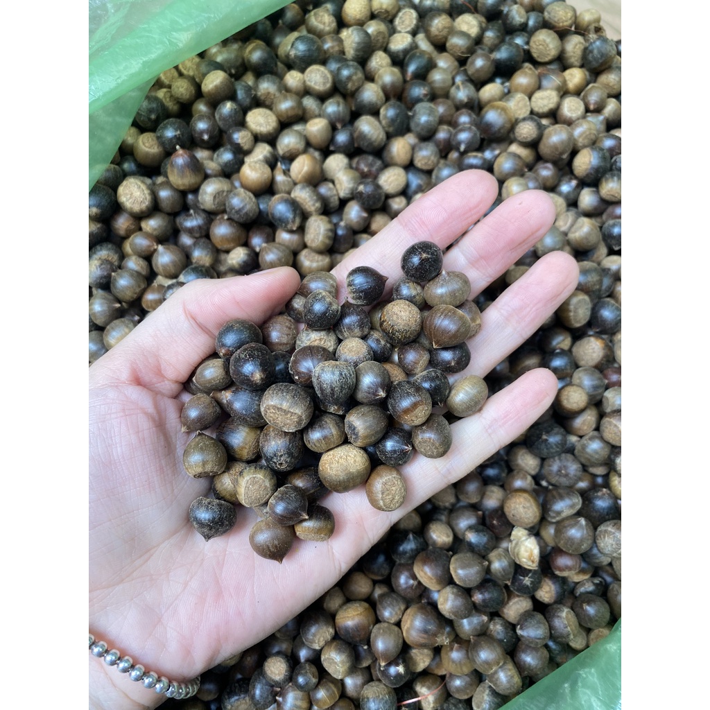 Hạt dẻ rừng . 100% thiên nhiên. Siêu ngon | BigBuy360 - bigbuy360.vn