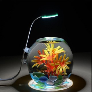 Đèn LED 3W cho bể cá, thủy sinh hình tròn