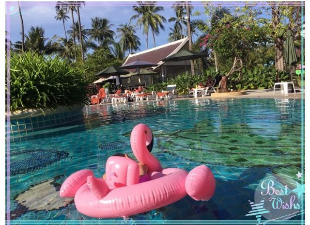 Phao bơi cho bé hình thiên nga