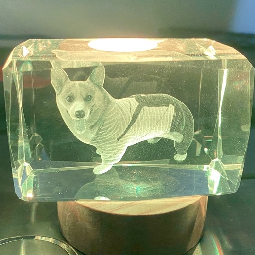 Đèn Ngủ 3D Quả Cầu Pha Lê Phát Sáng ảnh corgi dễ thương, Quà Tặng Sinh Nhật, Quà Lưu Niệm, Qùa Tặng Giáng Sinh