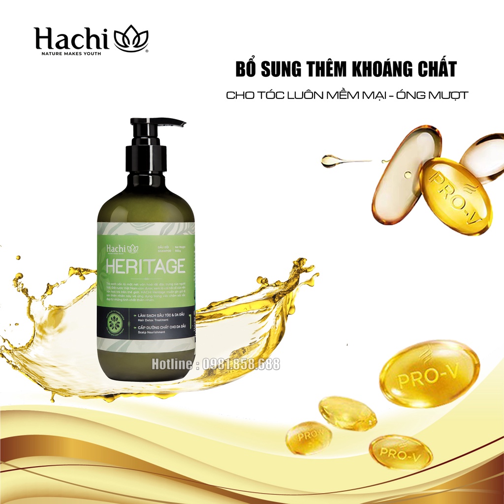 Dầu gội cao cấp HACHI VIETNAM ® Heritage 500g cho tóc dầu (xanh lá)