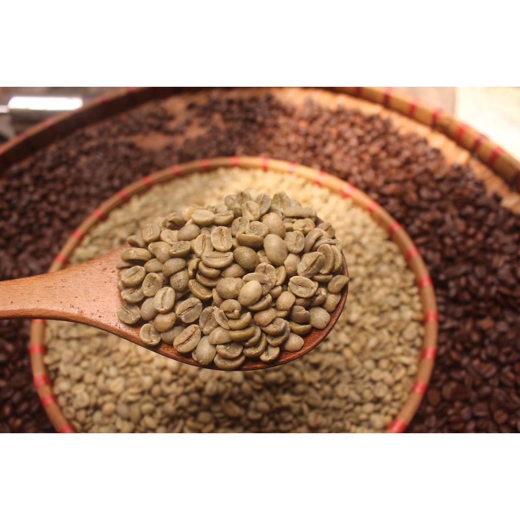 ☕ Cà Phê Nhân Sống ARABICA - Chưa Rang - Nguyên Liệu Sạch ( 1KG )