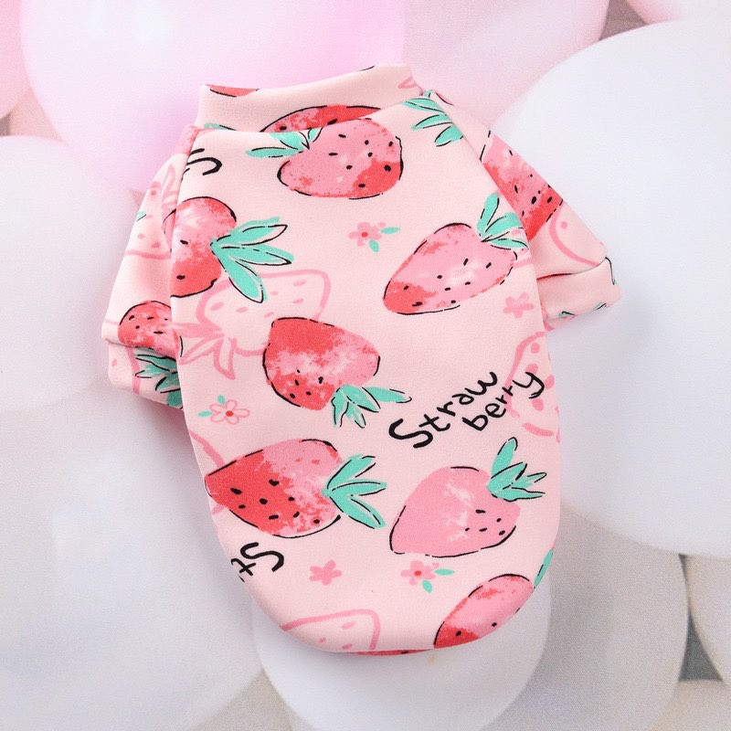 áo nỉ xinh xắn dành cho chó mèo