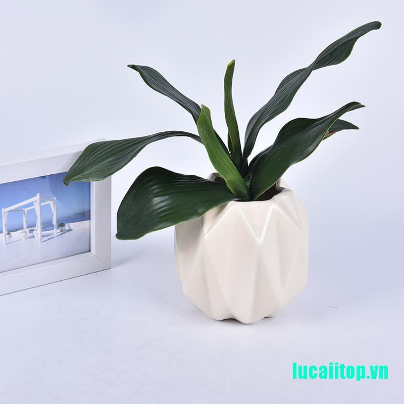 1 Lá Phong Lan Giả Trang Trí