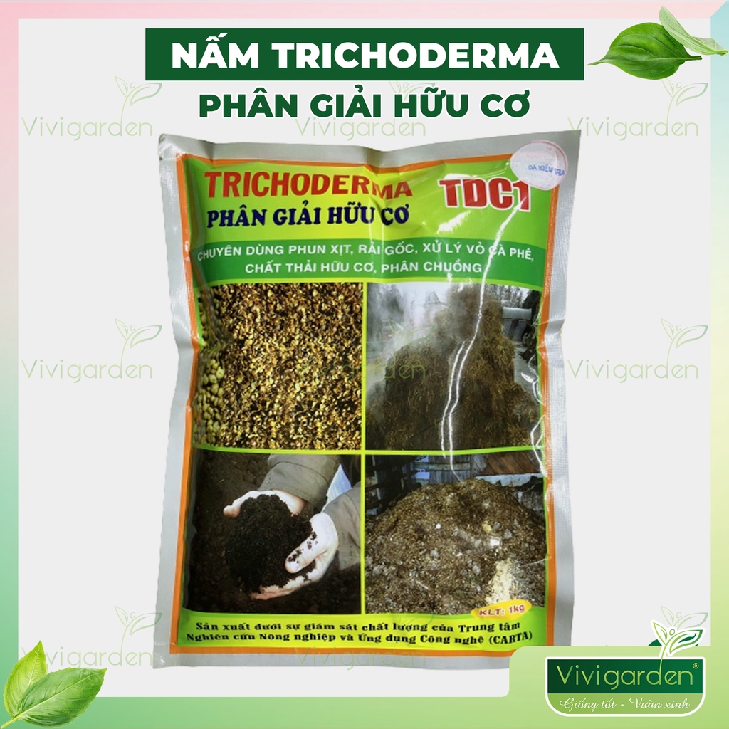 Nấm Tricoderma TDC1-SUN chuyên dụng phân giải rác hữu cơ