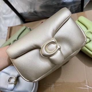 📛SALE📛TÚI COAH PILLOW TABBY SIZE 18