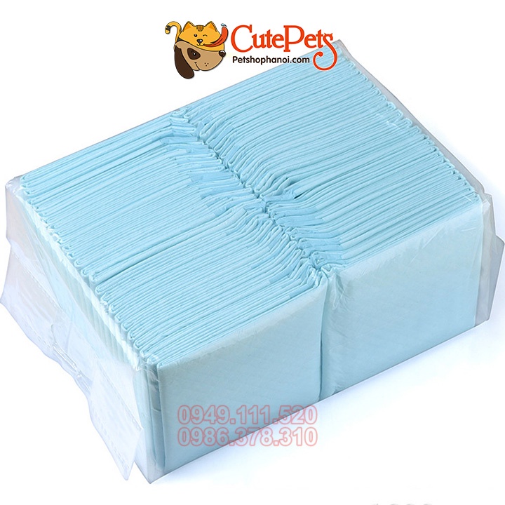 Tấm lót vệ sinh cho chó, mèo Pet Diapers [Lẻ 5 cái] - Phụ kiện thú cưng Hà Nội