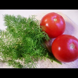 5g Hạt Giống Thì Là (Anethum graveolens)