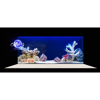 Tranh 3d dán bể cá thủy sinh, bể cá rồng