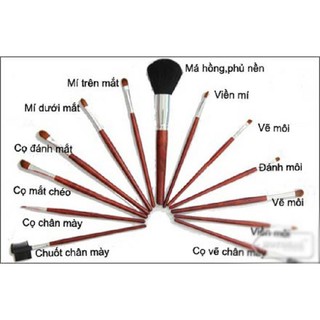 Bộ 12 cây chổi cọ trang điểm