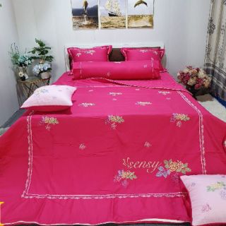 Trọn bộ chăn ga gối. Phủ trần bông