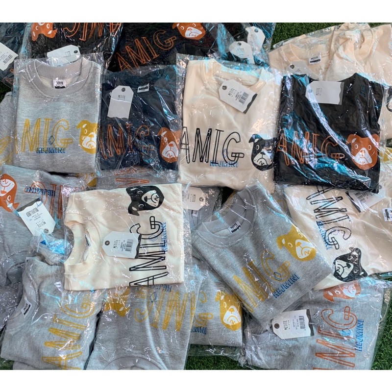 ÁO NỈ VNXK HÀN | BigBuy360 - bigbuy360.vn