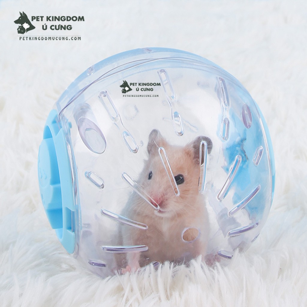 Bóng chạy mica cho hamster