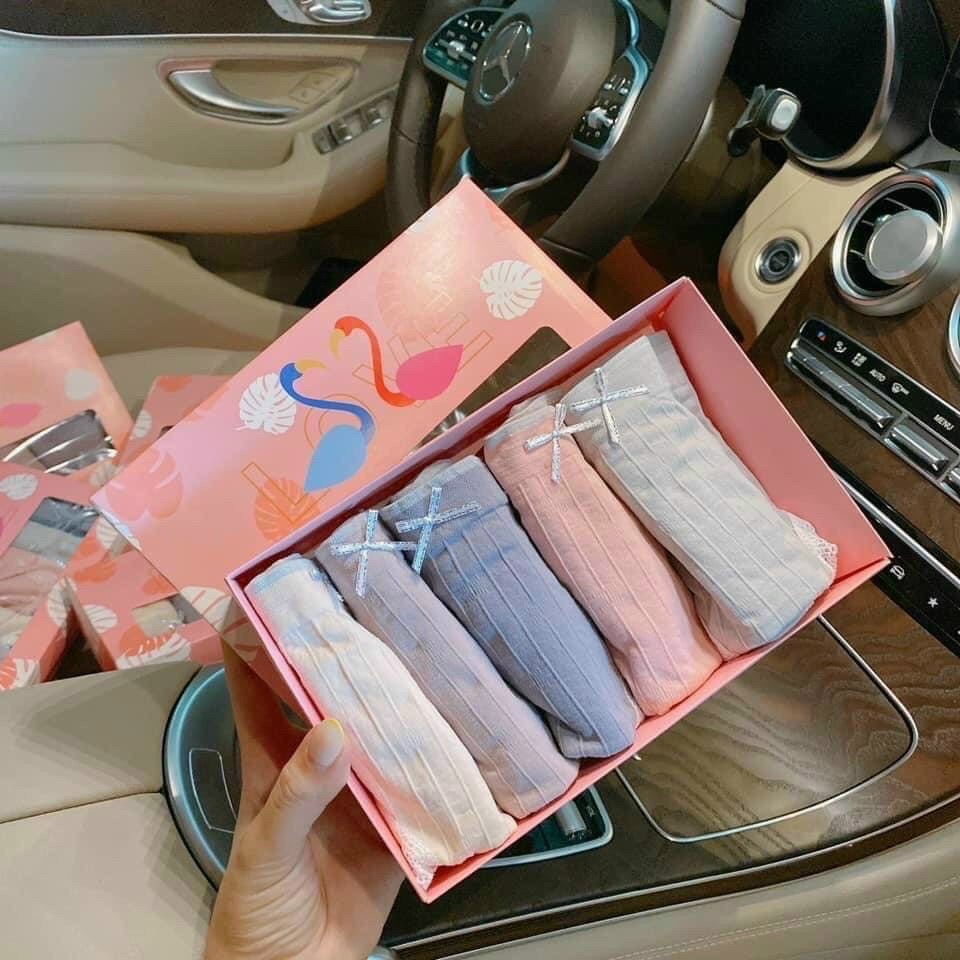 Hộp 5 quần lót nữ thiên nga, quần chip nữ cute, cotton co giãn 4 chiều kháng khuẩn, ôm sát thoải mái.