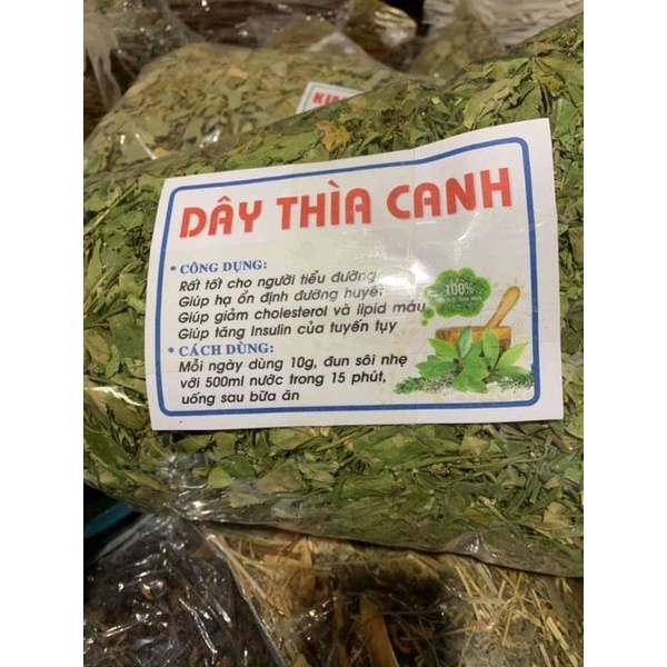1kg Dây Thìa Canh xanh đẹp  hỗ trợ tiểu đường