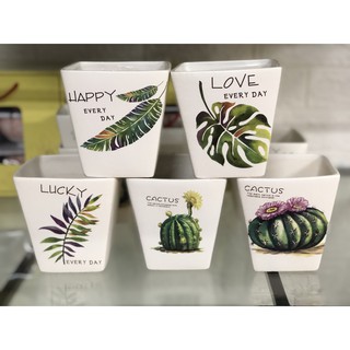 Chậu cây mini để bàn ngộ nghĩnh