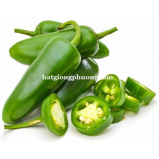 HẠT GIỐNG ỚT SAI TRÁI CHỊU NHIỆT JALAPENO