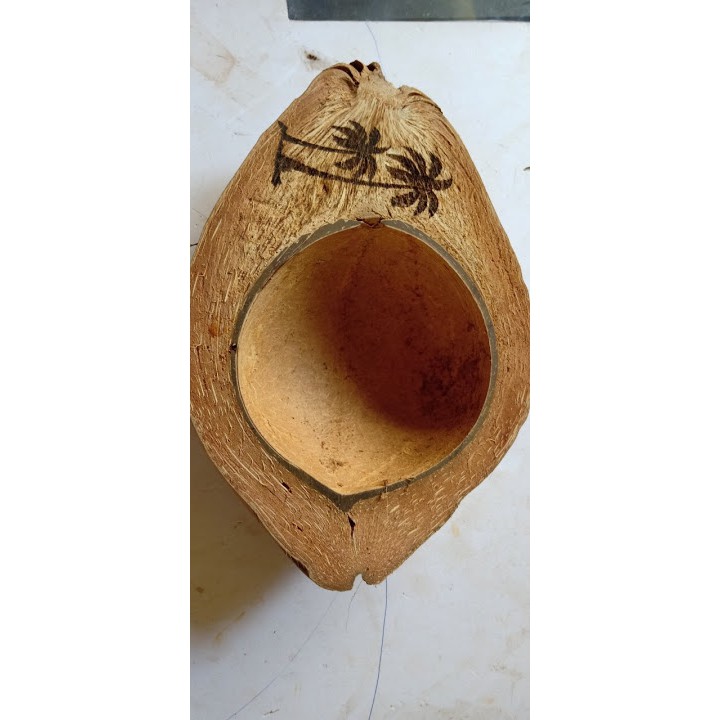 Chậu nữa trái dừa cắt dọc trồng hoa Tết || COCODECOR