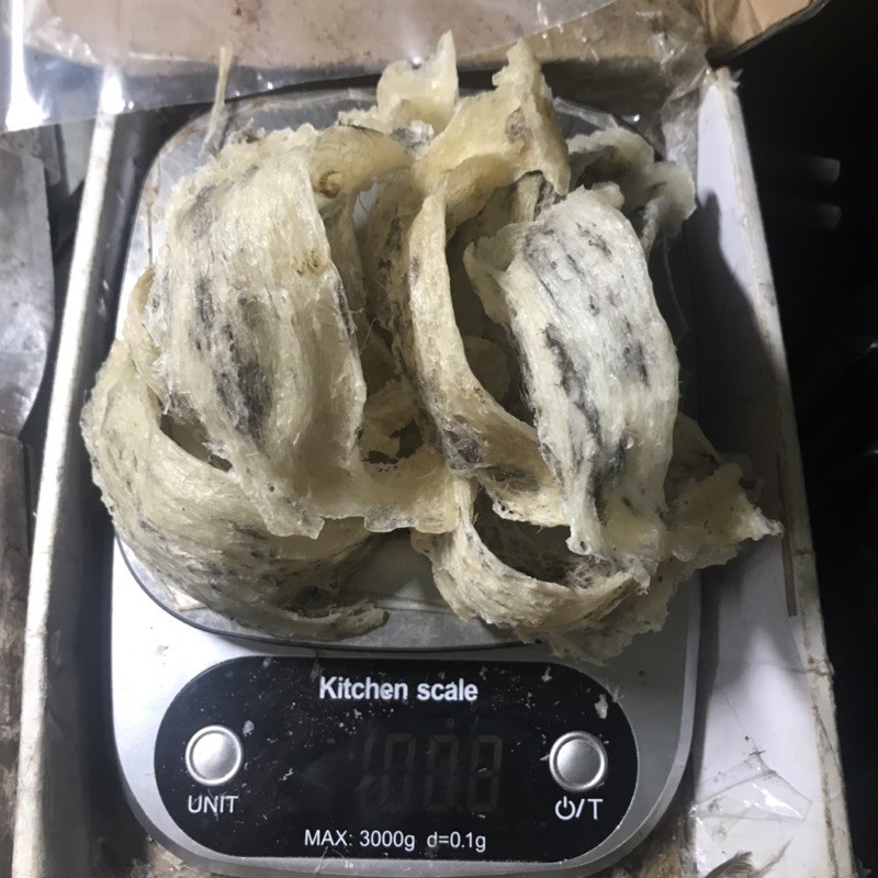 Yến thô nguyên tổ, yến sào Nha Trang, Khánh Hoà 100g +🎁🎁🎁