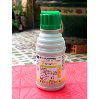 Thuốc Trừ Tuyến Trùng - Rệp Sáp Tervigo