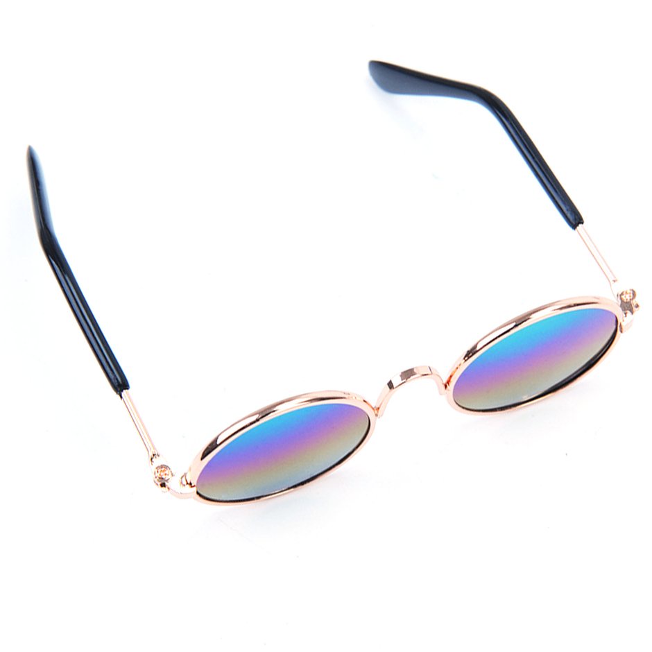 Những con chó thú cưng nhỏ mèo Mèo kính mắt kính mắt