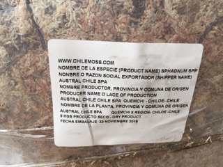 Dớn rêu mềm CHILE 350/1kg
