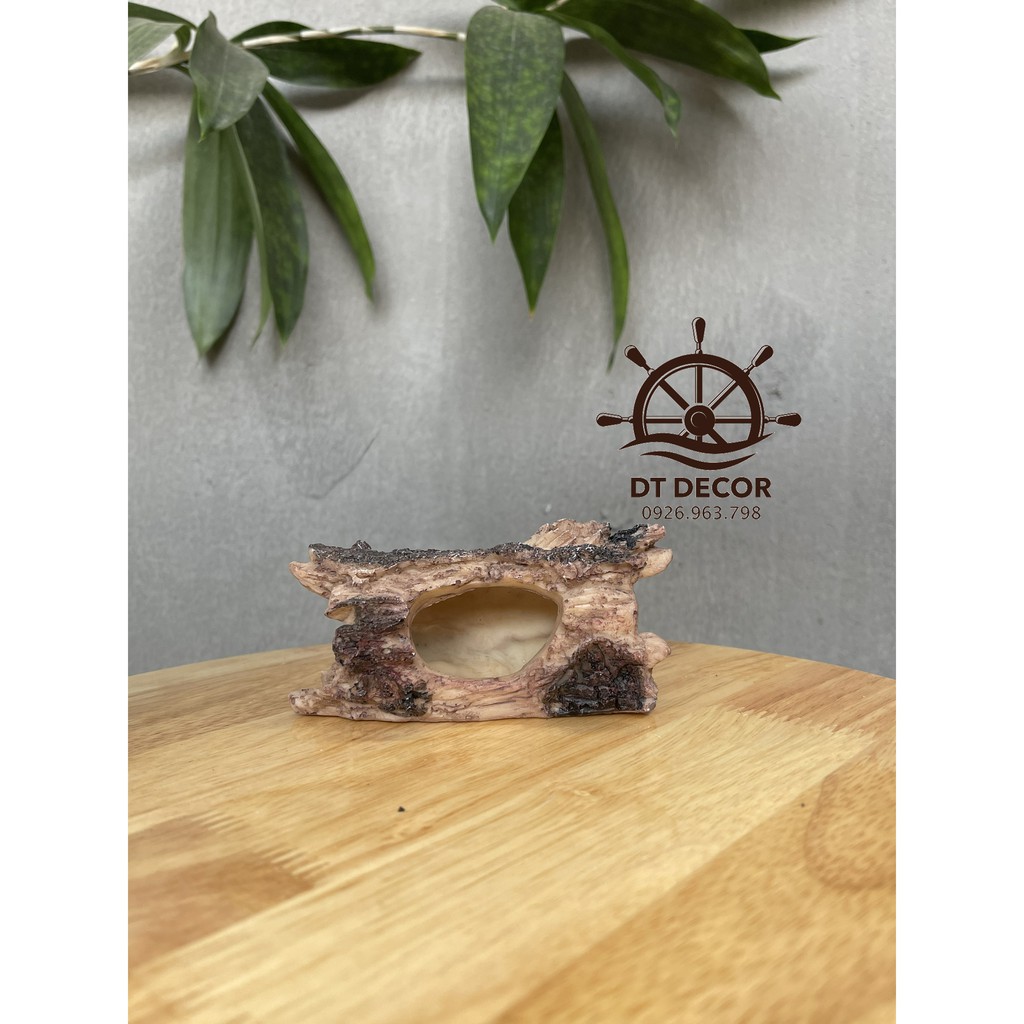 Khúc gỗ mục chơi tép