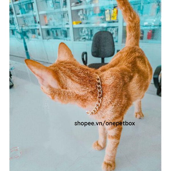 Vòng cổ cho Chó Mèo - Dây chuyền cho thú cưng OnePetBox - Vòng cổ mắt xích NHÔM kèm Thẻ tên thú cưng inox