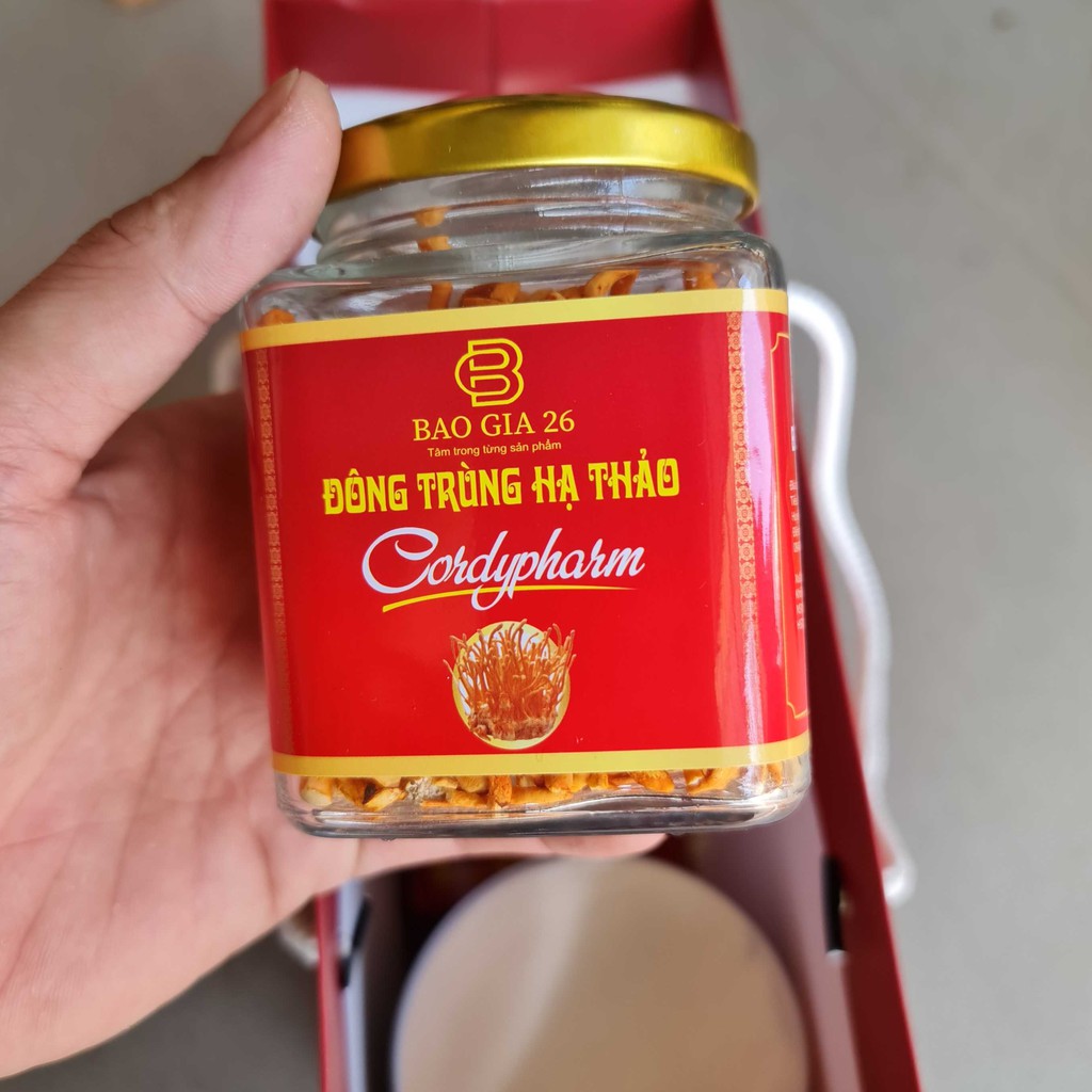[Mã 267FMCGSALE giảm 8% đơn 500K] [10g] Nấm Đông trùng hạ thảo "Cordyceps" Sấy thăng hoa (Theo Đề án cấp nhà nước) | BigBuy360 - bigbuy360.vn
