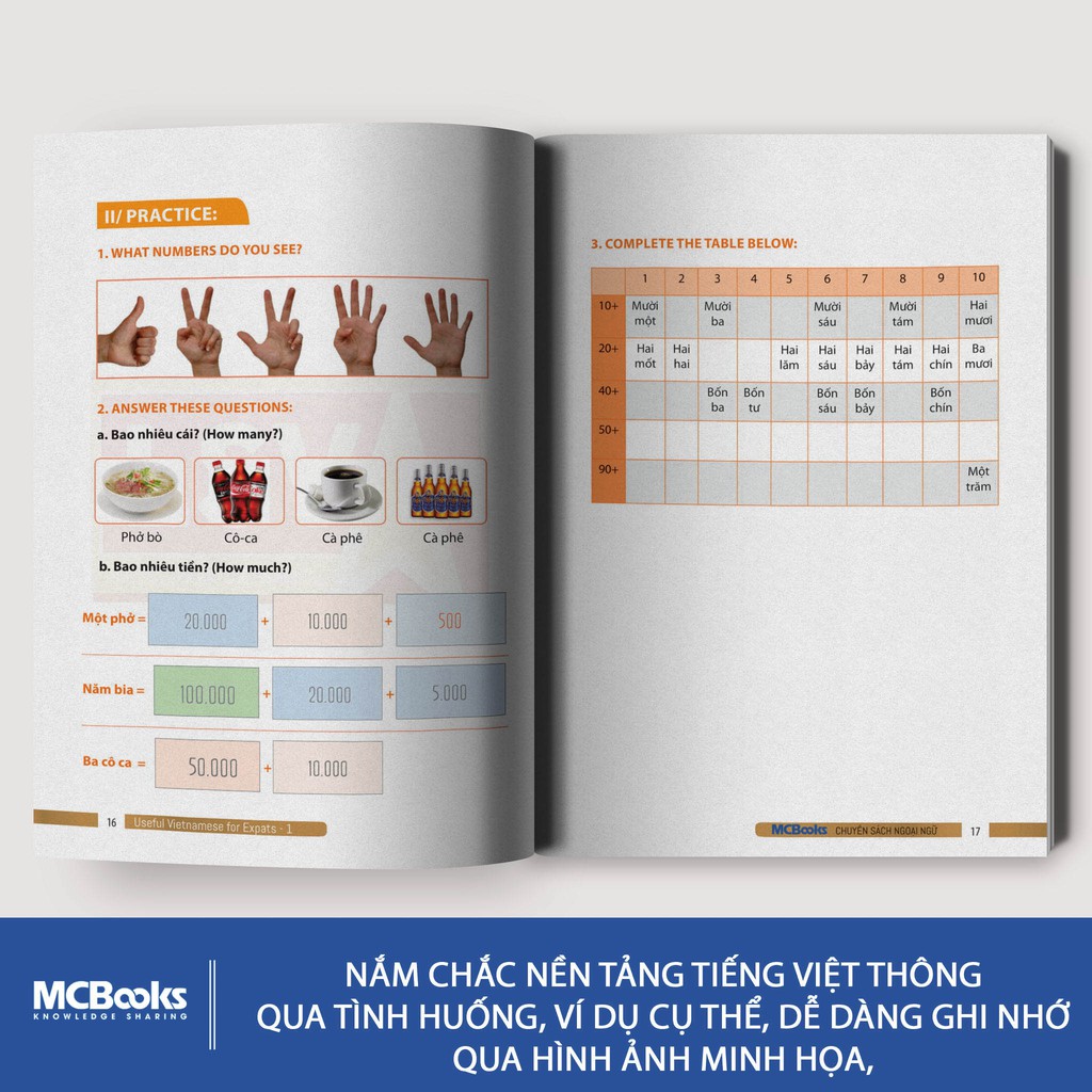 Sách Useful Vietnamese for Expats 1