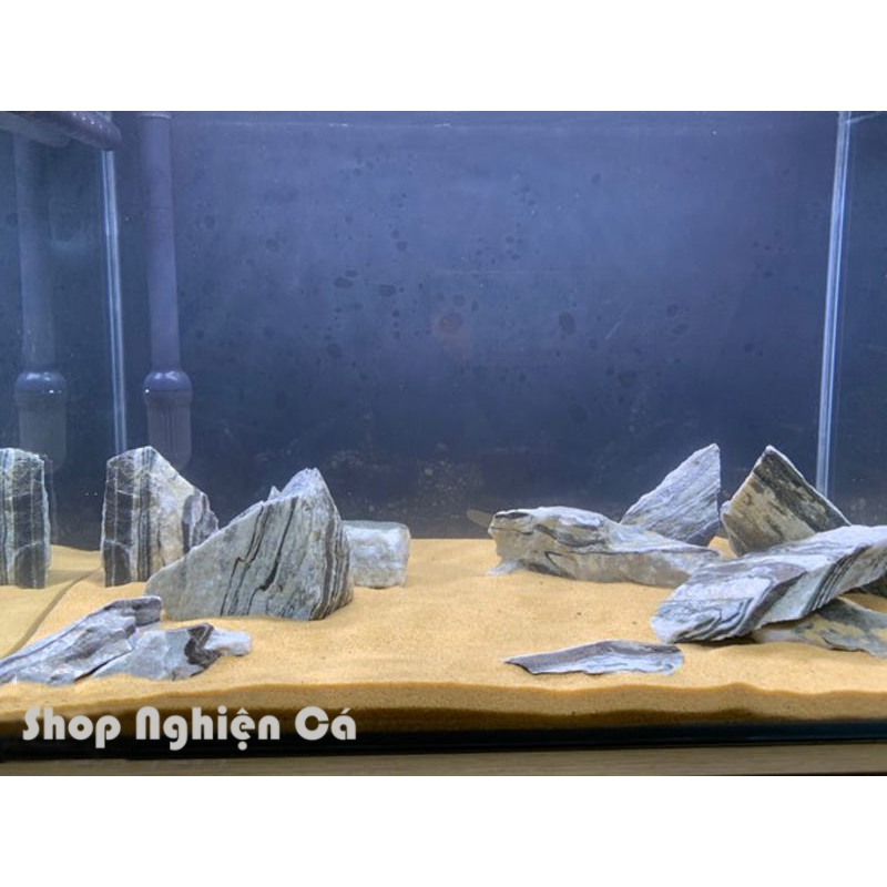 Cát Vàng Nắng Siêu Mịn 1kg - Nền Trang Trí Bể Cá, Bể Thủy Sinh