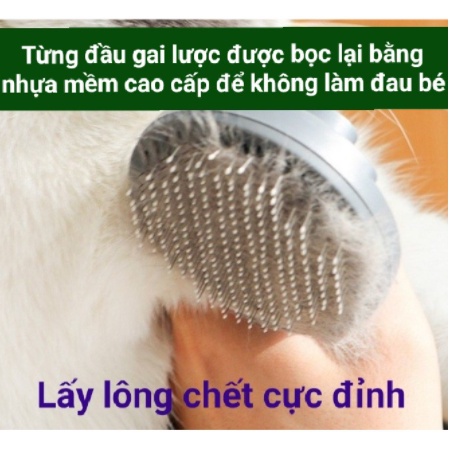 LƯỢC SỊN CHẢI LÔNG CHÓ MÈO CHÍNH HÃNG PAKEWAY T9 &lt;lấy lông thừa cực dễ&gt;
