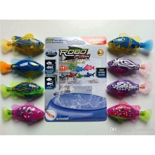 Cá robot cảm biến tự bơi - Robofish
