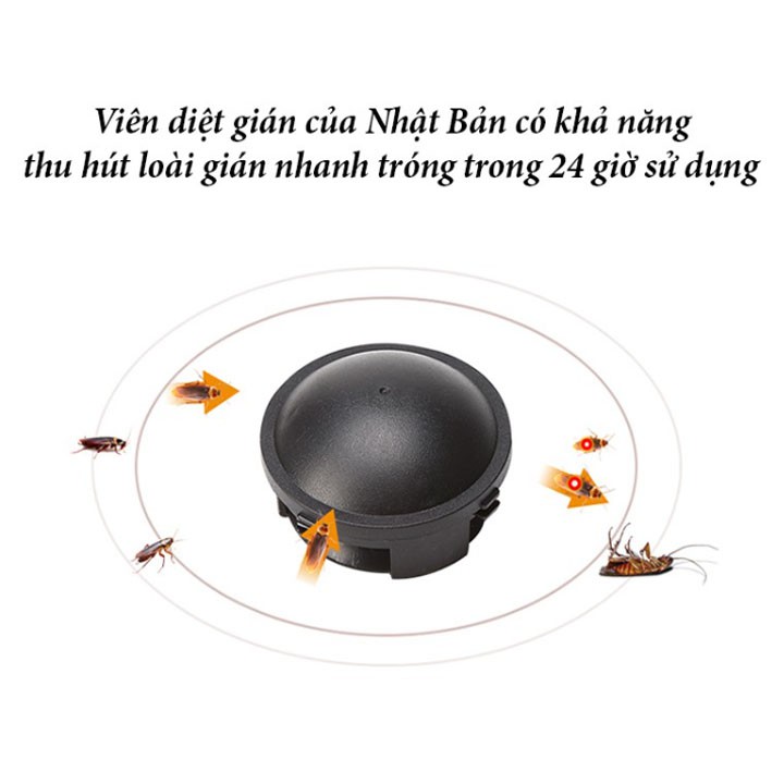 [Thánh diệt gián gây hại] Hộp 12 viên diệt dán diệt gián Nhật.