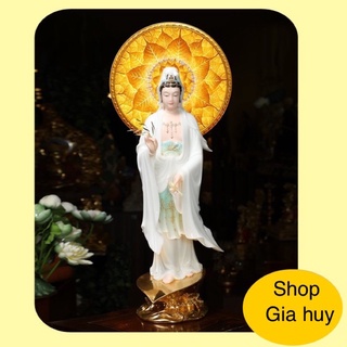 Hào Quang Trúc Chi