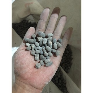 3Kg Phân dê đã xử lý, phơi khô tốt cho mọi loại cây trồng