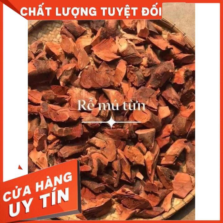 Mú từn🍎Rễ Chuẩn đẹp nạc🍎Ngâm Rượu Sắc nước🍎Bổ Thận Tráng Dương Mạnh🍎Gói 1Kg