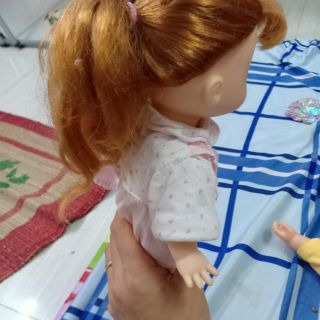 Gấu chỉ vân