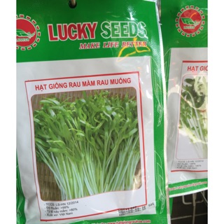 Hạt giống rau mầm rau muống