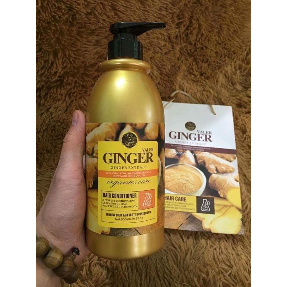 Bộ dầu gội xả Ginger Valer