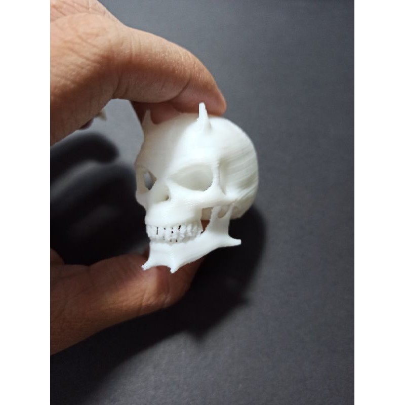 Đầu lâu quỷ 2 sừng nhọn cao 4cm bằng nhựa, trang trí kinh dị, chuồng bò sát, halloween