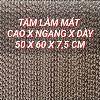 Combo 2 Tấm làm mát Kt 50 x 60 x7,5 cm
