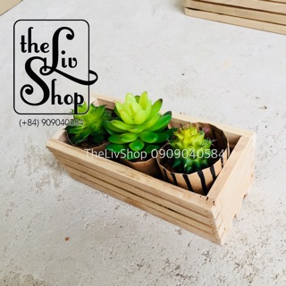 Chậu gỗ trồng cây (20cm)
