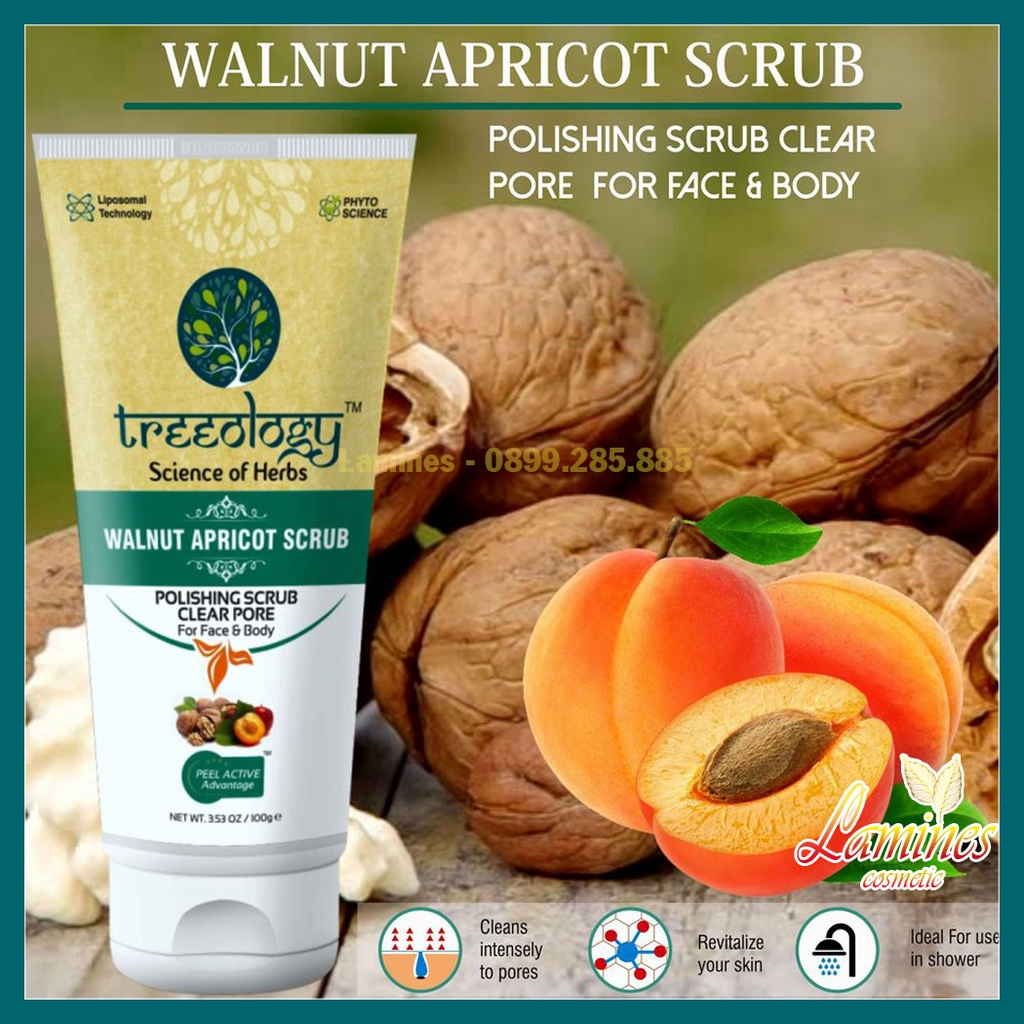 Tẩy Tế Bào Chết Từ Quả Mơ, Hạt Óc Chó Treeology | Walnut Apricot Clear Pore Polishing Scrub For Face And Body 100gram