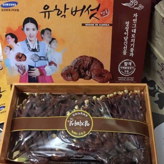 GIÁ SỐC: NẤM SỪNG HƯƠU HÀN QUỐC HỘP CÔ GÁI 500G NẤM