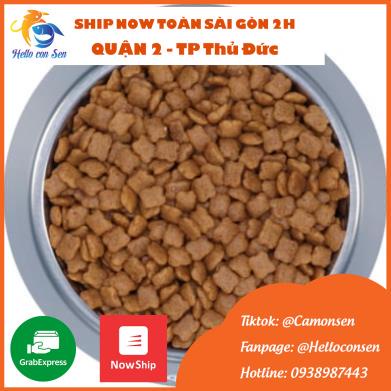 [Quận 2 Ship Now] ROYAL CANIN KITTEN 2KG Thức an cho mèo loại hạt cho mèo nhỏ 4-12 tháng Canin Kitten 2kg