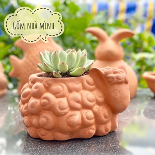 Chậu Cừu Ú đất nung